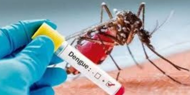 Extreme cuidados para prevenir el dengue durante la semana de receso 