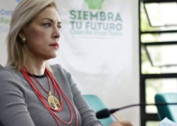 “Ellos solicitaron 45 días de prórroga, es decir, el balón está allá”: Olga Lucia Alfonso