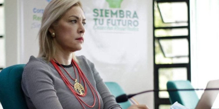 “Ellos solicitaron 45 días de prórroga, es decir, el balón está allá”: Olga Lucia Alfonso