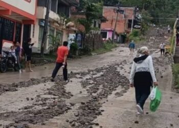 Afectados se vieron campesinos en Planadas por fuerte granizada