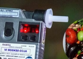 Advierten sobre alimentos que podrían afectar pruebas de alcoholemia y toxicológicas