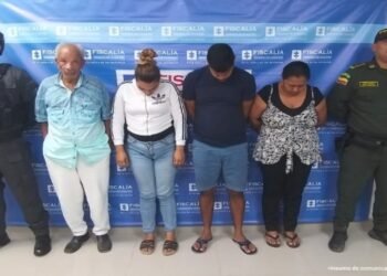 Desarticulada banda dedicada a cometer hurtos informáticas