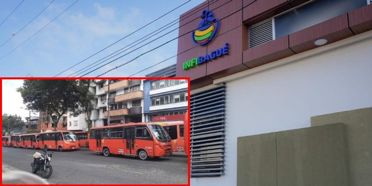Infibagué se postula como empresa operadora del SETP en la ciudad