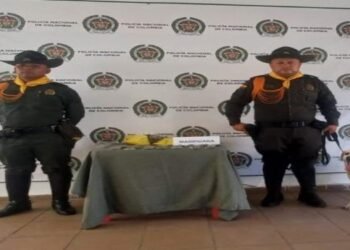 Canina ‘Mabel’ halló importante cargamento de droga en la terminal de Honda