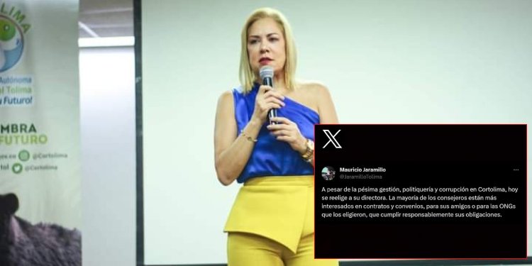 Opositores a Barreto se fueron lanza en ristre contra Olga Lucía Alfonso por su reelección