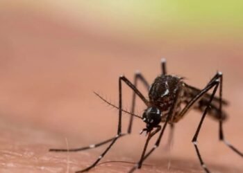 En aumentó los casos de Dengue en menores en Melgar 