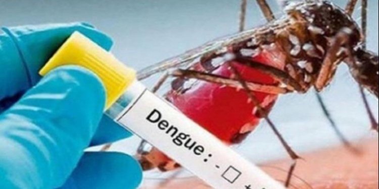 Comunidad del Germán Huertas lanza SOS porque el dengue se quedó a vivir en el barrio