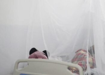 El dengue cobra una vida más en el Tolima