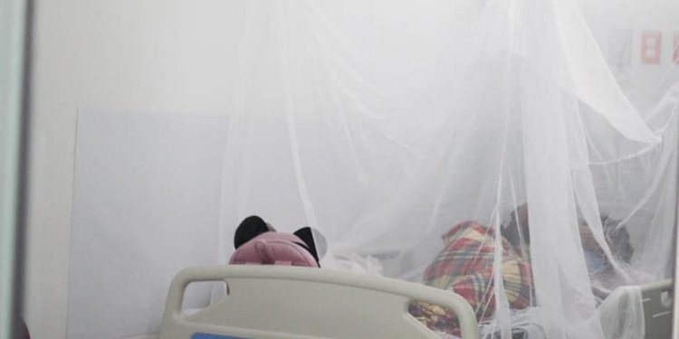 El dengue cobra una vida más en el Tolima