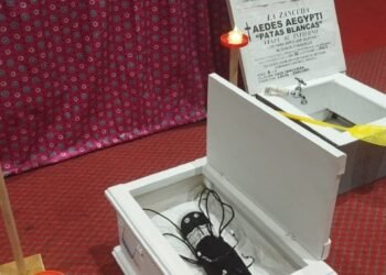 Un 10 en su Tarea Contra el Dengue recibieron las 26 instituciones educativas del Tolima  