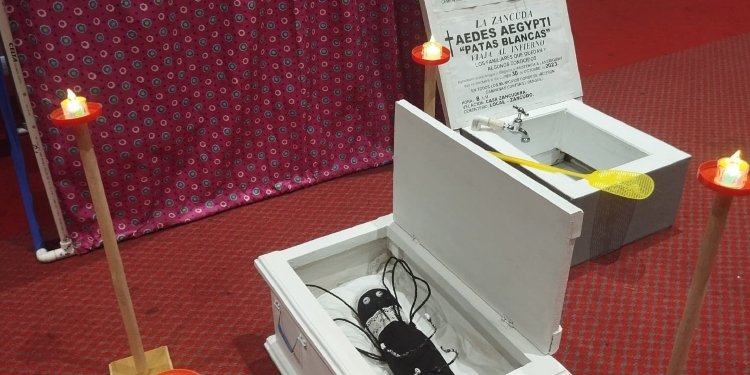 Un 10 en su Tarea Contra el Dengue recibieron las 26 instituciones educativas del Tolima