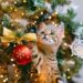 Cómo Evitar que su gato dañe el Árbol de Navidad: Le contamos