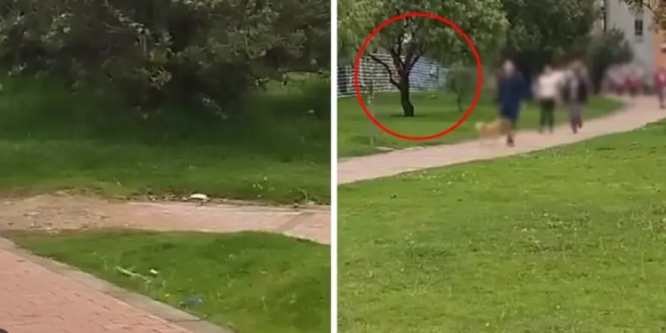 Joven fue abusada y herida brutalmente con arma blanca cuando iba a su colegio en Bogotá