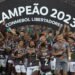 Los colombianos protagonistas y ganadores en la final de la Copa Libertadores 