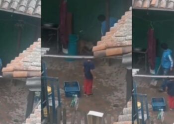 ¡Lamentable! Hombre golpeó a un perrito con una pala en el municipio de Soacha