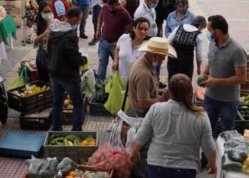 Cerca de 200 expositores participaron en el primer Mercado Campesino de Chaparral – San Antonio