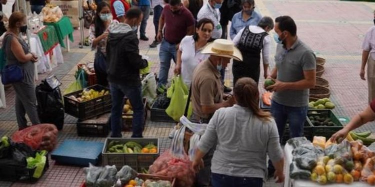 Cerca de 200 expositores participaron en el primer Mercado Campesino de Chaparral – San Antonio