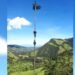 Colombia tiene la Palma más alta del mundo: Aquí te contamos dónde queda