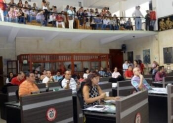 Interponen acción popular para suspender proceso de elección del Personero de Ibagué