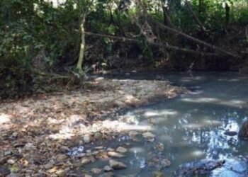 En estado de descomposición fue hallado cuerpo de una persona en Alvarado 