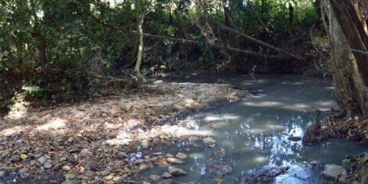 En estado de descomposición fue hallado cuerpo de una persona en Alvarado 