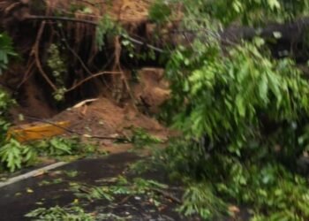 Secretaria de Ambiente y Gestión del Riesgo ya está al frente de emergencias en el Tolima 