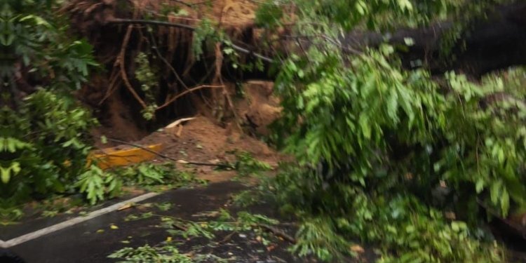 Secretaria de Ambiente y Gestión del Riesgo ya está al frente de emergencias en el Tolima 