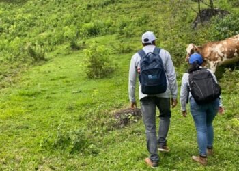 Familias rurales de Chaparral reciben incentivos económicos por proteger el bosque alto andino