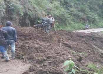 Sin apoyo del Gobierno Nacional se atendieron emergencias en el Tolima