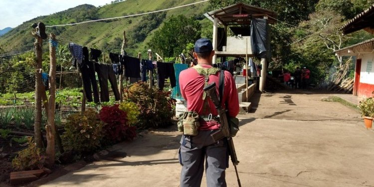 Norte y sur del Tolima zonas con mayor índice de violencia en el departamento