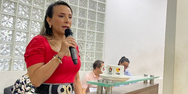 Asamblea Departamental aprobó primer debate del Proyecto de ordenanza de Número 040 del 13