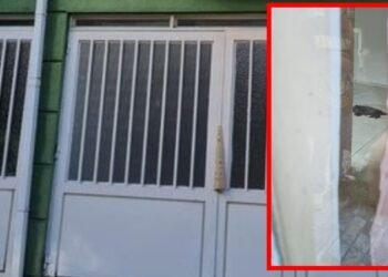 Aberrante, en una casa de Ibagué, dejaron morir abandonada a una perrita al interior de una casa