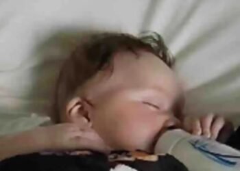 Milagro en medio de la tragedia: Tornado arrastra a bebé de 4 meses y lo encontraron vivo en un árbol