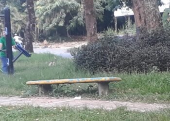 El parque biosaludable de Colinas del Norte estaría en un alto estado de abandono