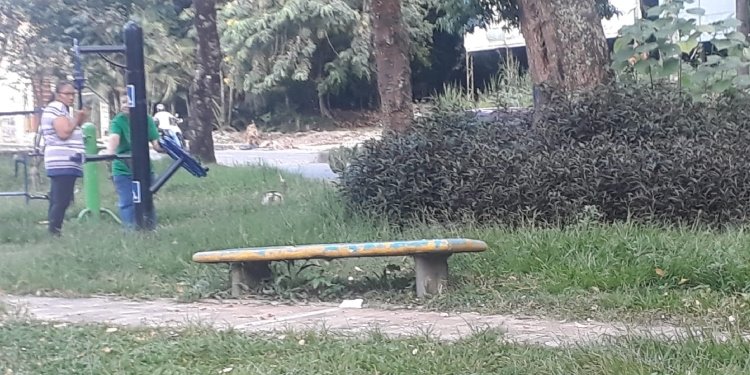 El parque biosaludable de Colinas del Norte estaría en un alto estado de abandono