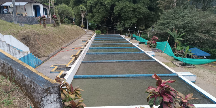 IBAL suspende captación de la quebrada Chembe