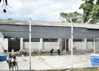 El Mega Capa, una deuda con la ciudad que deberá entregar la siguiente administración