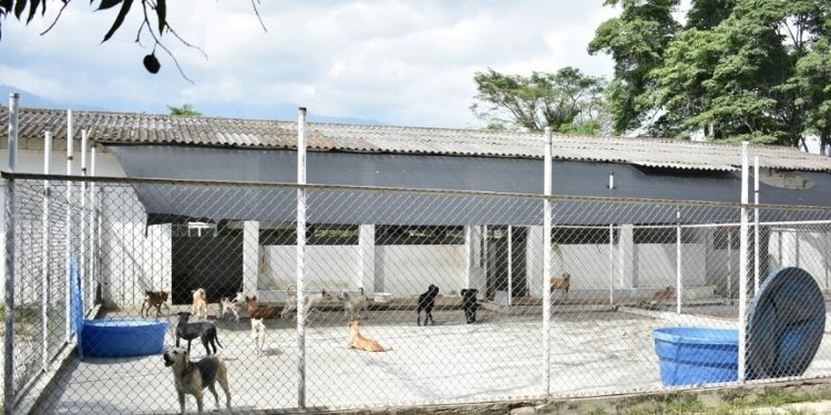 El Mega Capa, una deuda con la ciudad que deberá entregar la siguiente administración