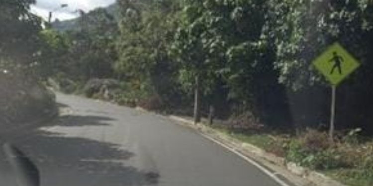 Gobernación del Tolima tendrá que construir andenes en el Cañón del Combeima