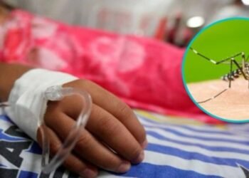Menor de 10 años falleció por causa de dengue en Melgar, Tolima