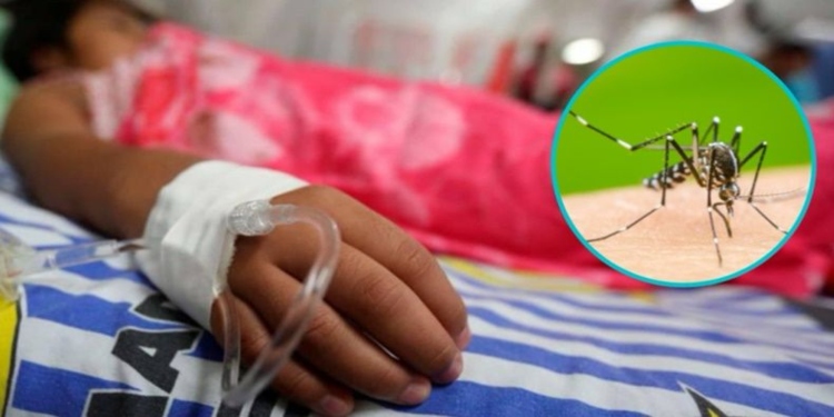 Menor de 10 años falleció por causa de dengue en Melgar, Tolima