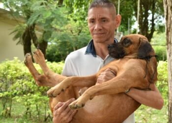 Más de 2.000 mascotas en el Tolima han sido esterilizadas 