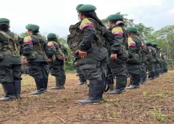 Cambios en la movilización de disidencias de las FARC incrementan su presencia en el territorio del Tolima