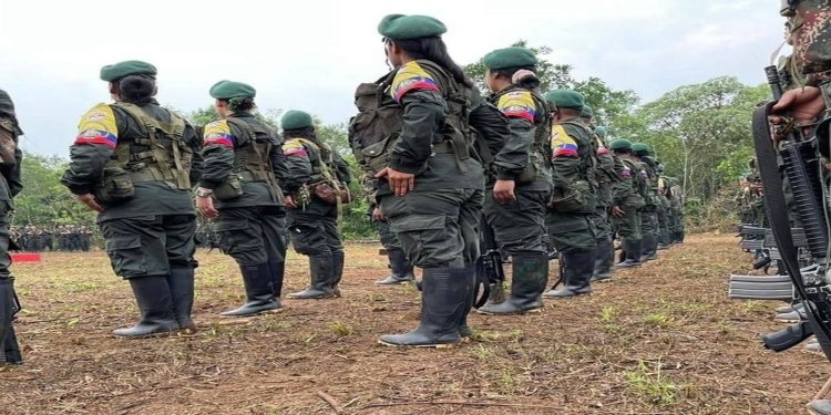 Cambios en la movilización de disidencias de las FARC incrementan su presencia en el territorio del Tolima