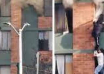 Héroe sin capa en Bogotá