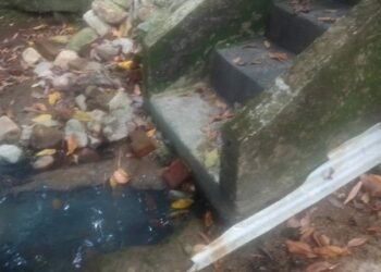 Daño en tubería del alcantarillado en barrio de Ibagué estaría causando un problema ambiental al río Alvarado