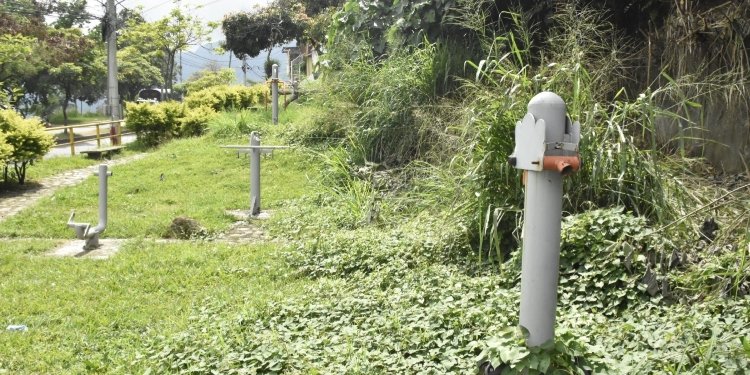En el barrio Avenida reclaman la intervención de sus dos parques 