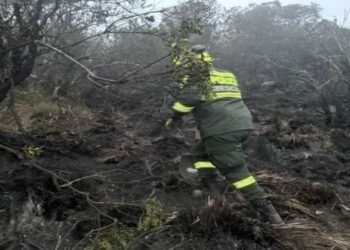 Más de 200 hectáreas se consumieron en medio de un incendio en el Parque Nacional Natural de los Nevados
