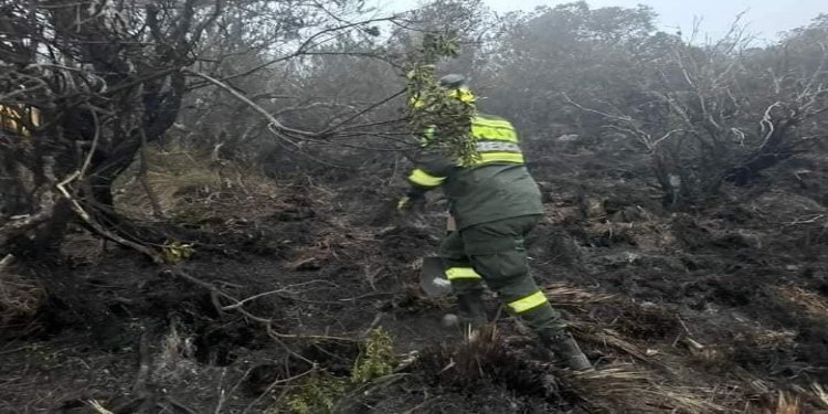 Más de 200 hectáreas se consumieron en medio de un incendio en el Parque Nacional Natural de los Nevados