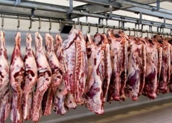 El Líbano le apostará aa la modernización de la Planta Regional de Beneficio Animal